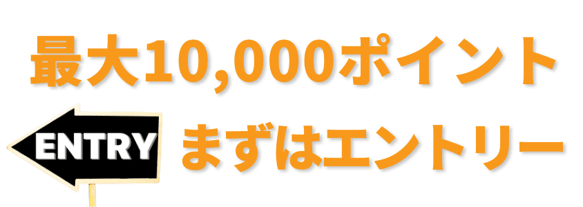 Amazonブラックフライデー
最大10,000ポイント！まずはエントリーする