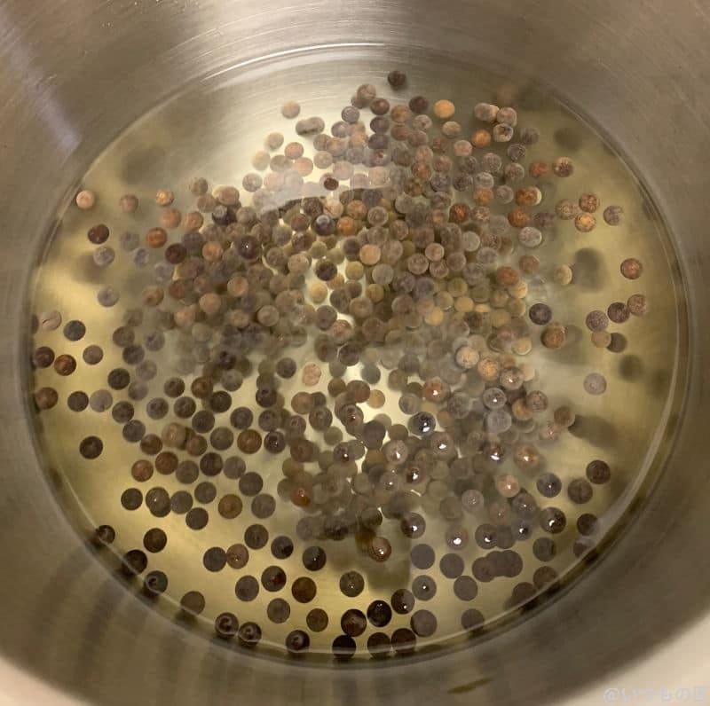 手順2. タピオカを水に浸す