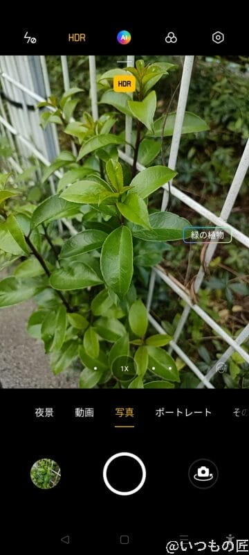 カメラのAI撮影モードで、緑の植物を判定して綺麗な画像になっている。