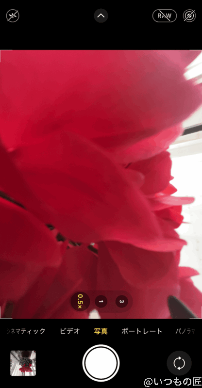 花びらをマクロ撮影したらよくわかりますが、細かい表面がキレイに写真に収められました。素晴らしい写りで感動します。