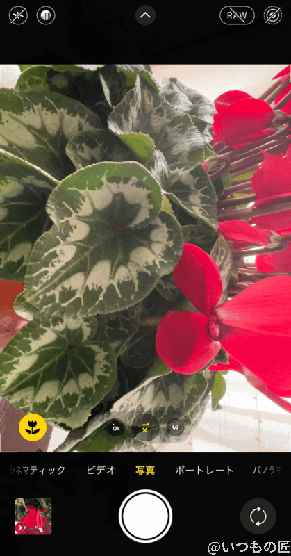 広角レンズでマクロ撮影モードが起動すると、花アイコンが表示されます。