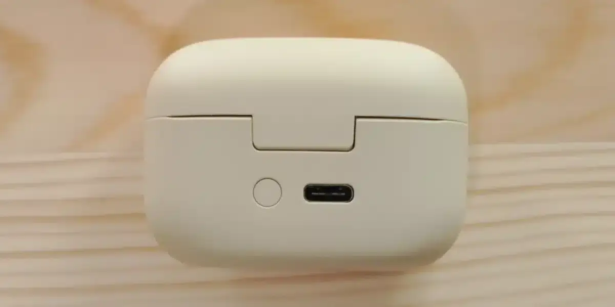 LinkBuds S ケース 背面