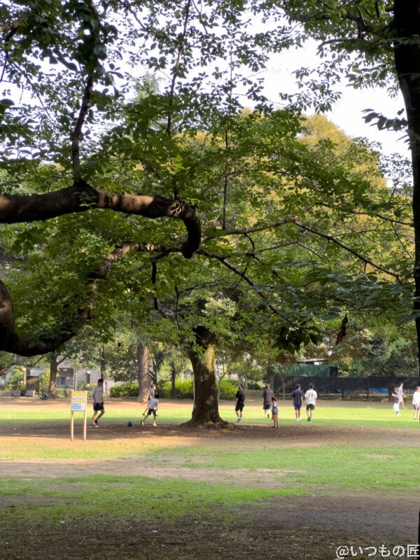 望遠レンズ（x3.0）撮影例