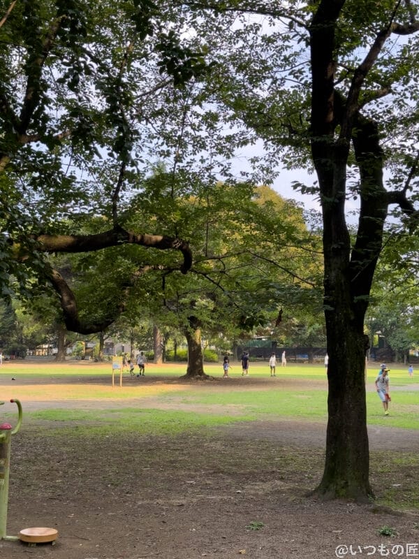 広角レンズ（x2.0）撮影例