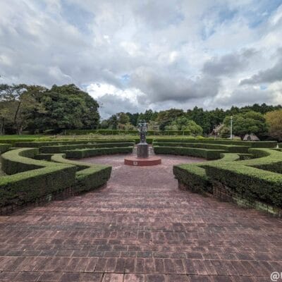 超広角カメラ(光学ズーム0.5倍)