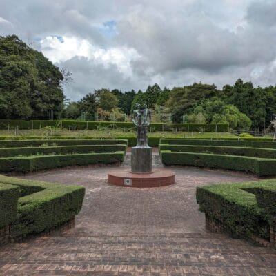 広角カメラ(光学ズーム1倍)