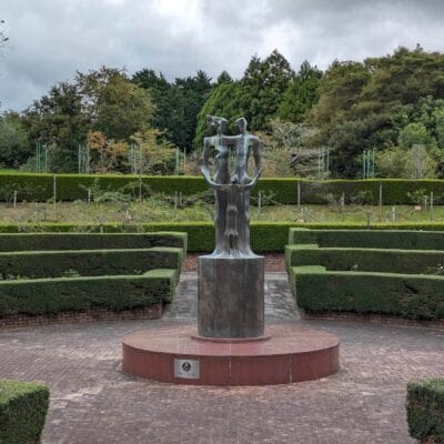 広角カメラ(光学ズーム2倍)