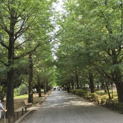 OPPO Reno9 A 風景写真の作例3