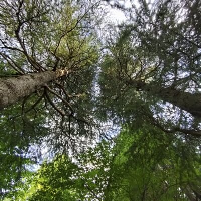 OPPO Reno9 A 風景写真の作例5