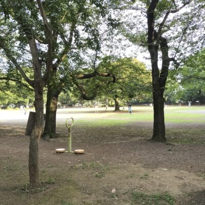 OPPO Reno9 A 風景写真の作例6