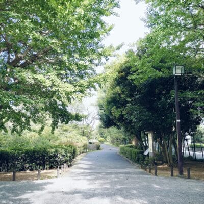 OPPO Reno9 A 高解像度写真の切り抜き前