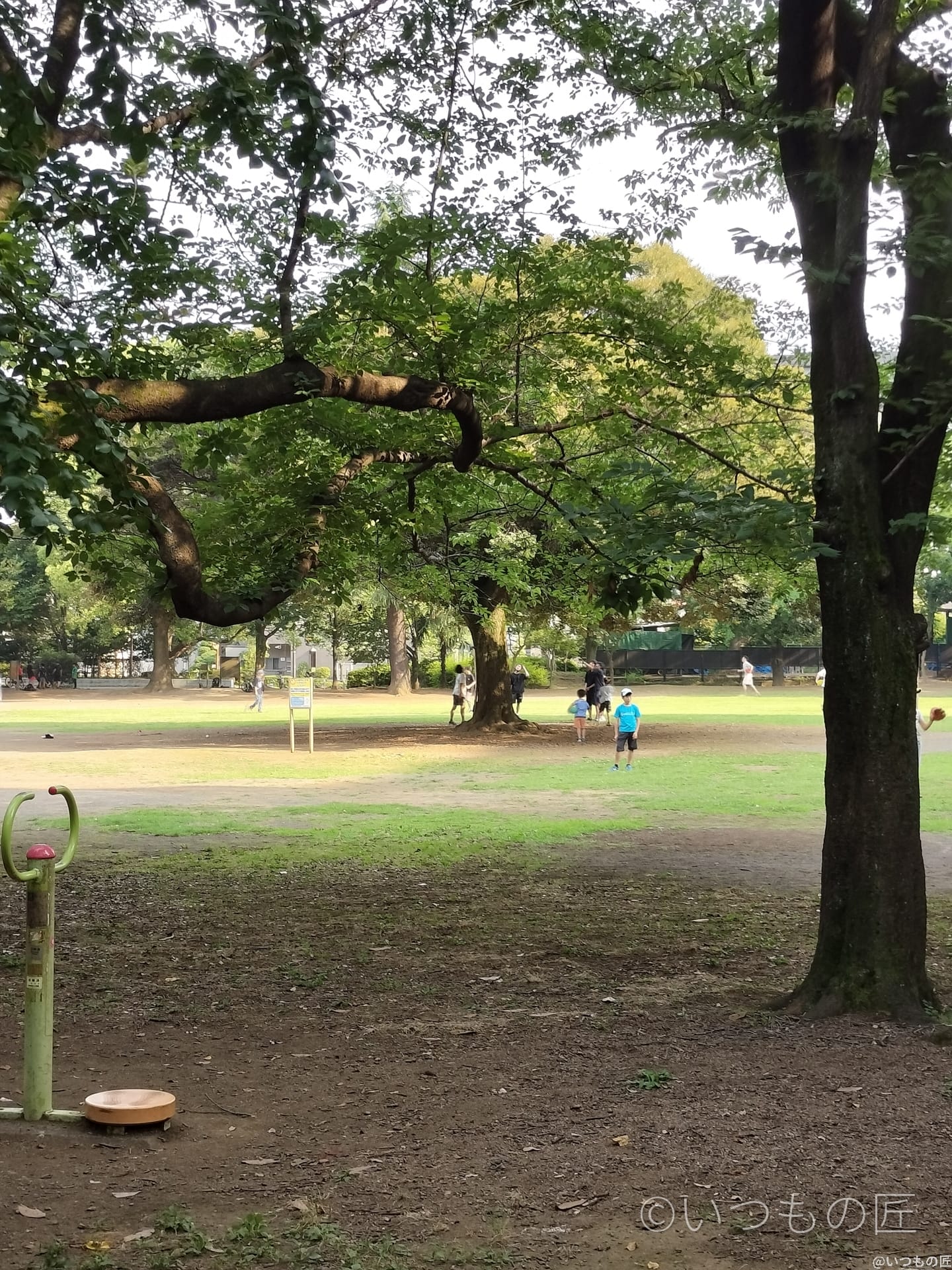 OPPO Reno9 A デジタルズーム2.0倍の作例