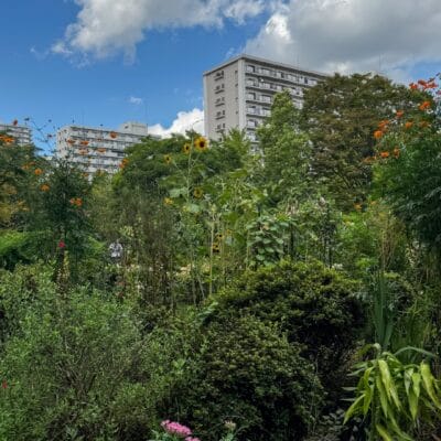 iPhone15 Pro Max 風景写真 作例6（晴天）