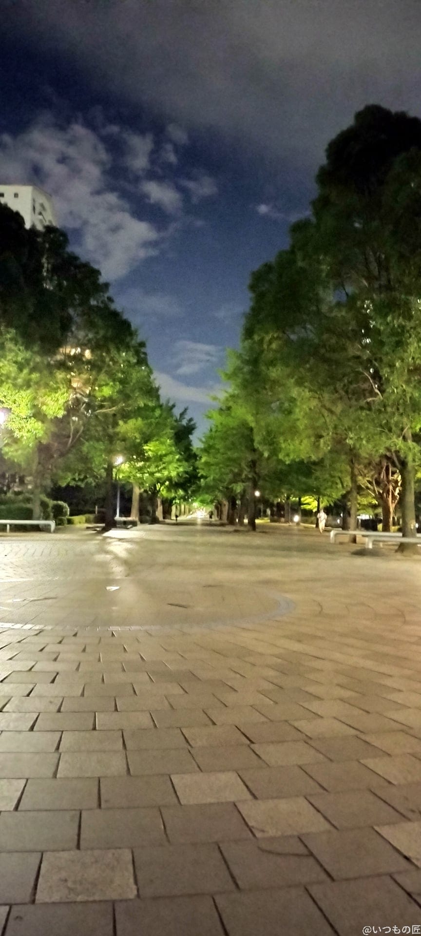 OPPO Reno9 A 夜景モード 作例2