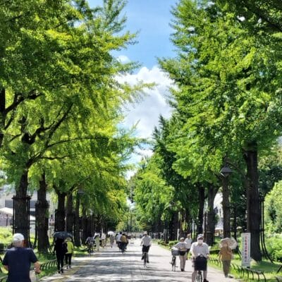 OPPO Reno9 A 風景写真の作例14