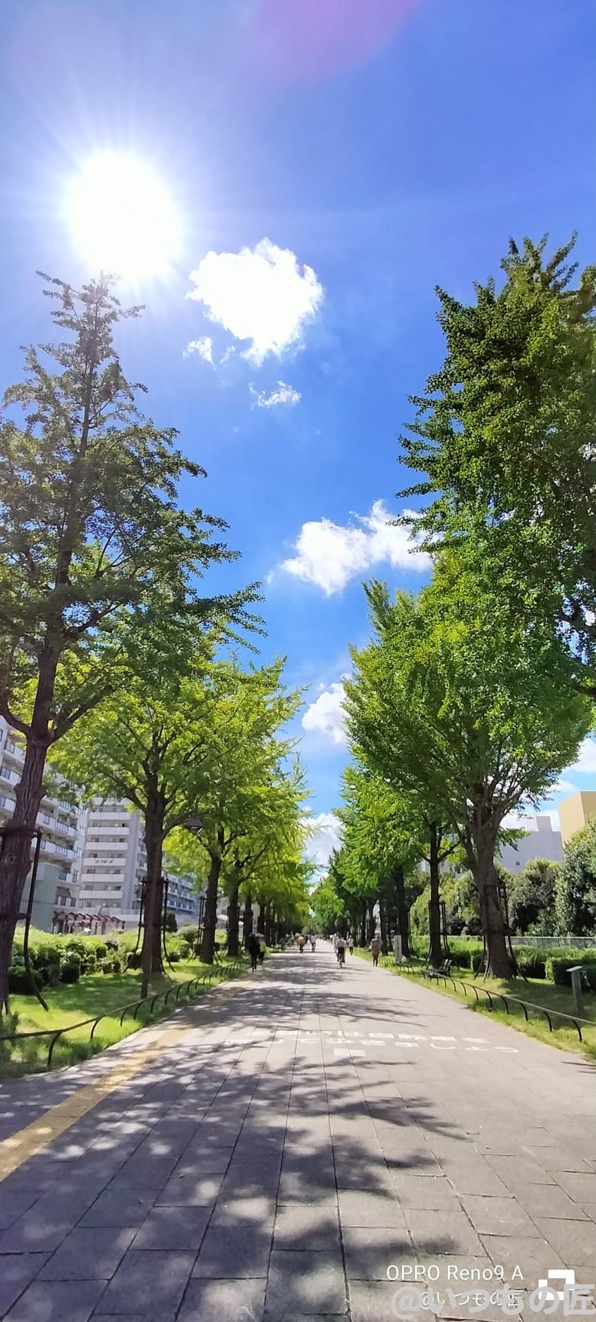 OPPO Reno9 A広角カメラでの倍率1倍撮影