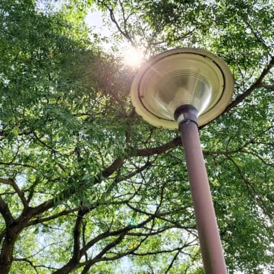 OPPO Reno9 A 風景写真の作例12