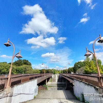 OPPO Reno9 A 風景写真の作例10