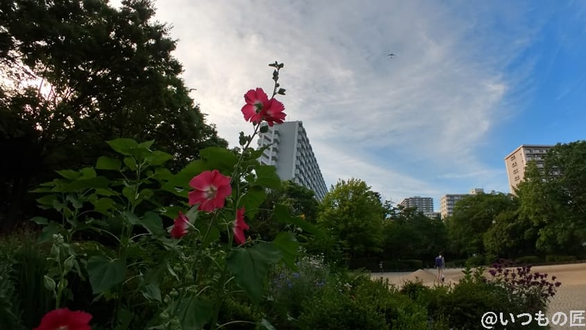 Insta360 GO 3 レビュー
写真作例1