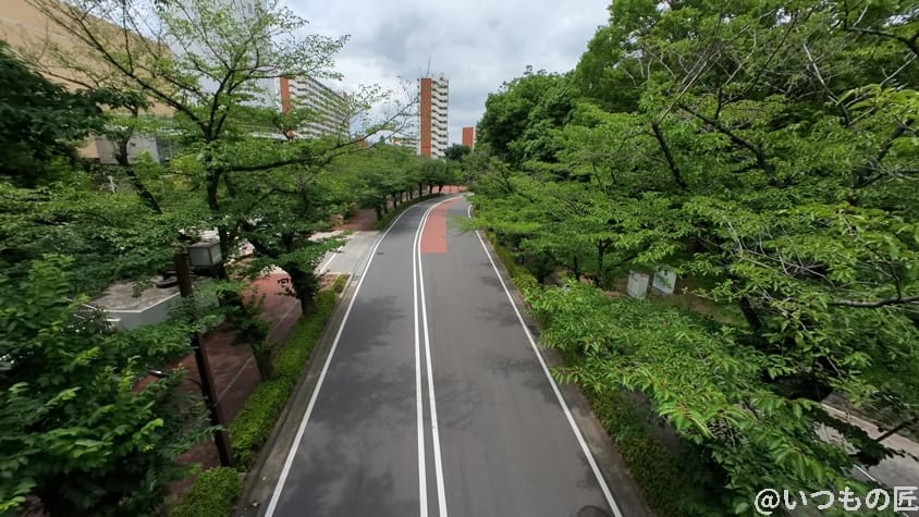 Insta360 GO 3 レビュー
写真作例2