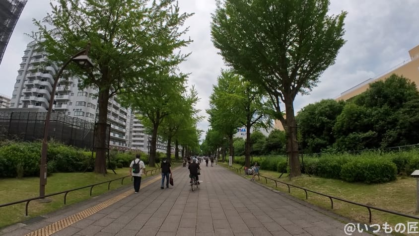 Insta360 GO 3 レビュー
写真作例3