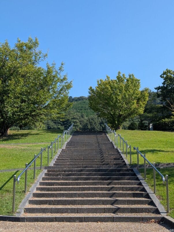 Google Pixel 9 Pro XL カメラ
Google Pixel 9 Pro XLで撮影した風景写真