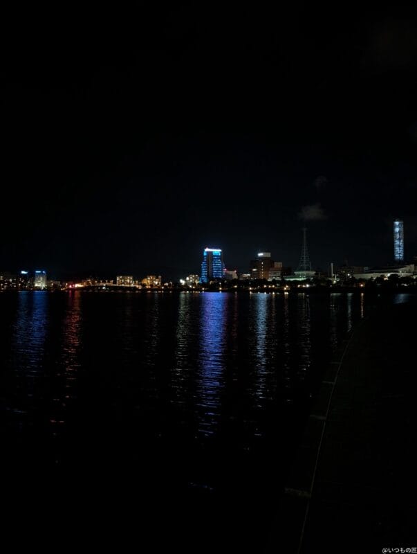 Google Pixel 9 Pro XL カメラ
Google Pixel 9 Pro XL の通常モードでズーム撮影した夜景写真