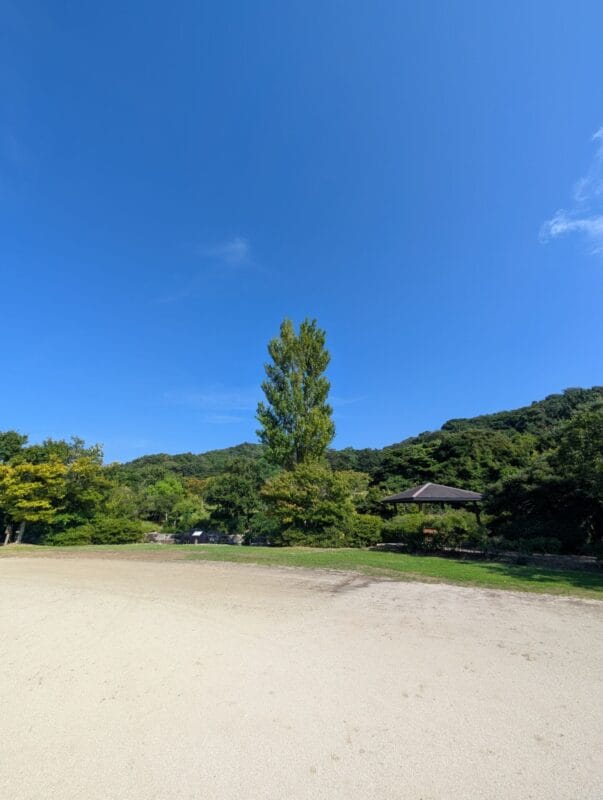 Google Pixel 9 Pro XL カメラ
Google Pixel 9 Pro XLでズーム撮影した風景写真