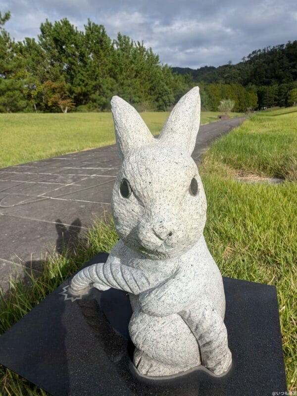 Google Pixel 9 Pro カメラ
Google Pixel 9 Pro のインカメラでズーム撮影した写真