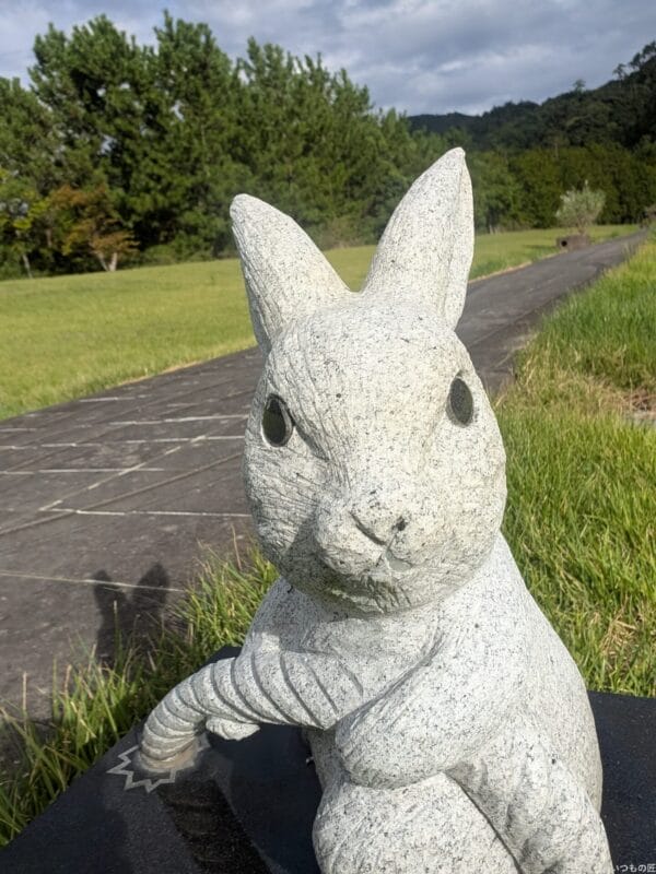 Google Pixel 9 Pro カメラ
Google Pixel 9 Pro のインカメラでズーム撮影した写真