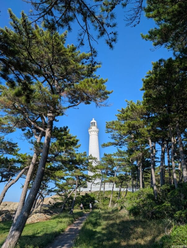 Google Pixel 9 Pro カメラ
Google Pixel 9 Pro で撮影した風景写真