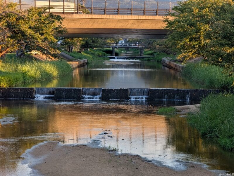 Google Pixel 9 Pro カメラ
Google Pixel 9 Pro で撮影した風景写真