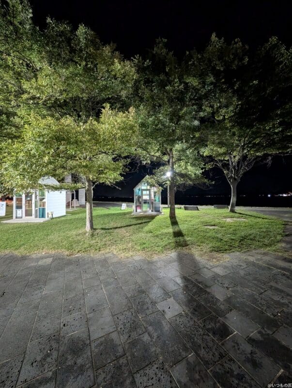 Google Pixel 9 Pro カメラ
Google Pixel 9 Pro の通常モードでズーム撮影した夜景写真