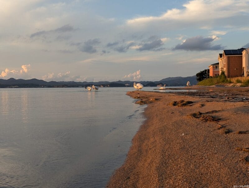 Google Pixel 9 Pro カメラ
Google Pixel 9 Pro でズーム撮影した風景写真