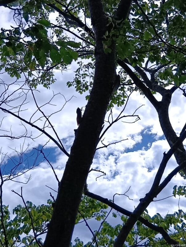 AQUOS wish4 カメラ AQUOS wish4 で撮影した風景写真