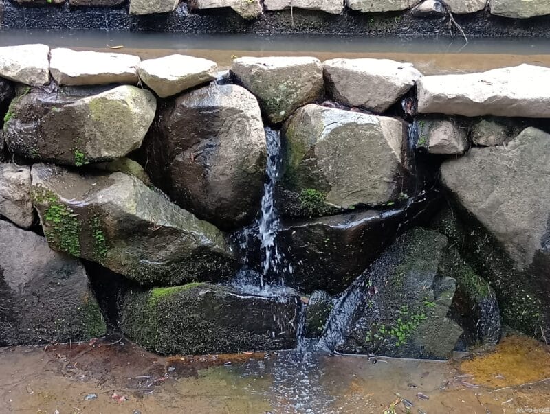 AQUOS wish4 カメラ
AQUOS wish4 で撮影した風景写真