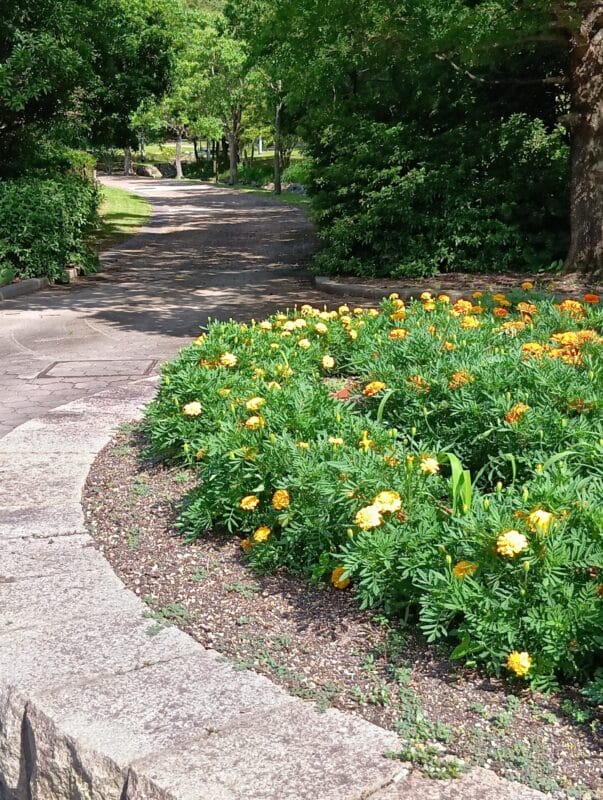 AQUOS wish4 カメラ
AQUOS wish4 で撮影した風景写真