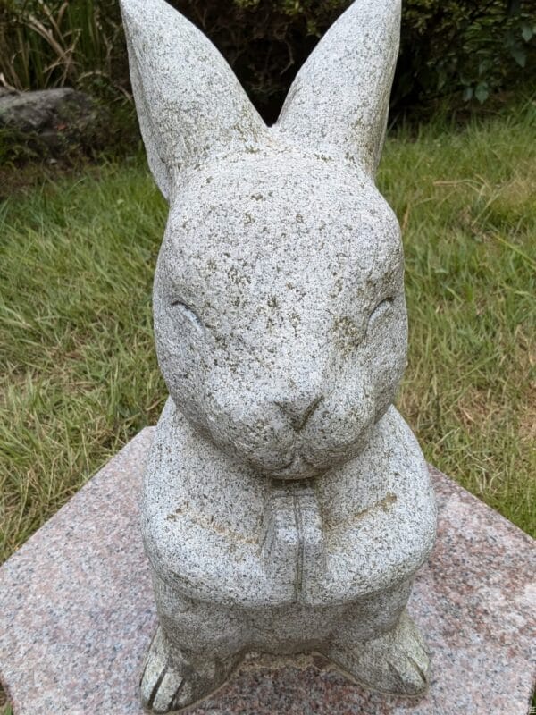 Google Pixel 9 カメラ
Google Pixel 9 のインカメラで撮影した写真