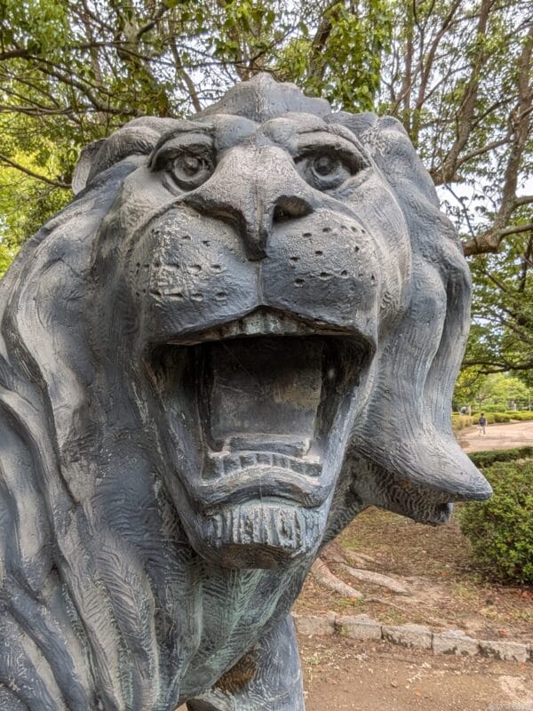 Google Pixel 9 カメラ
Google Pixel 9 のインカメラで撮影した写真