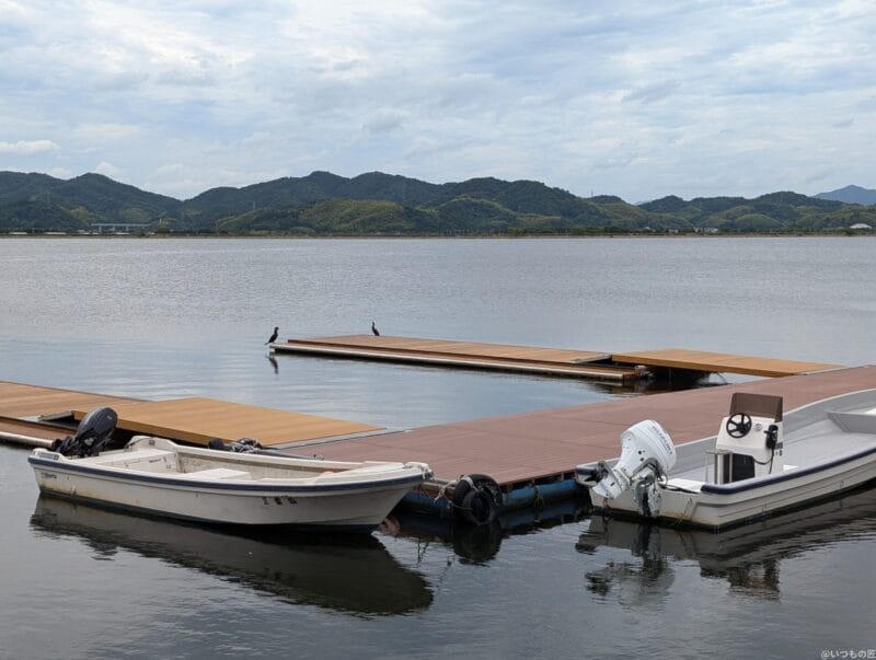 Google Pixel 9 カメラ
Google Pixel 9 で撮影した風景写真