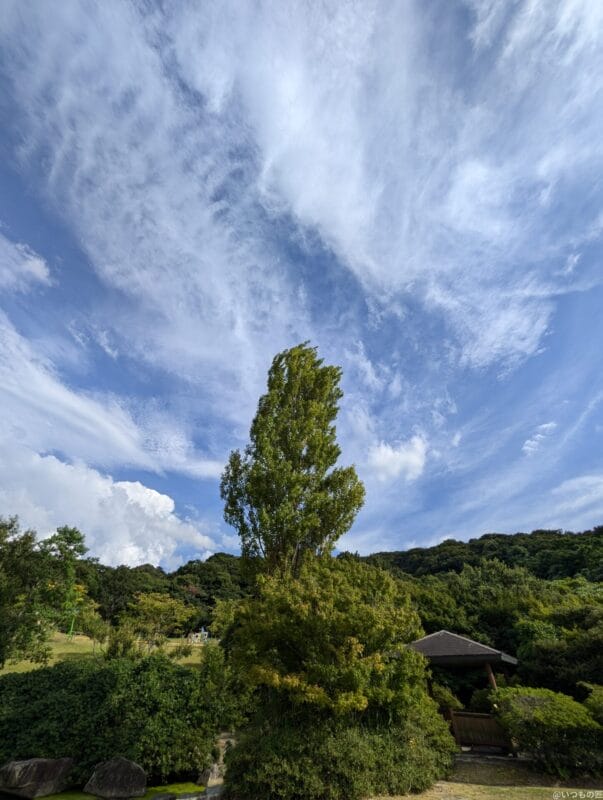 Google Pixel 9 カメラ
Google Pixel 9 で撮影した風景写真