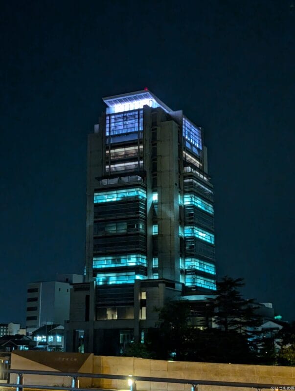 Google Pixel 9 カメラ
Google Pixel 9 でズーム撮影した夜間写真