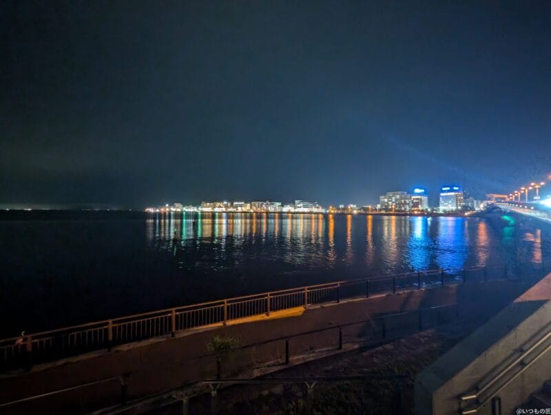 Google Pixel 9 カメラ Google Pixel 9 でズーム撮影した夜間写真