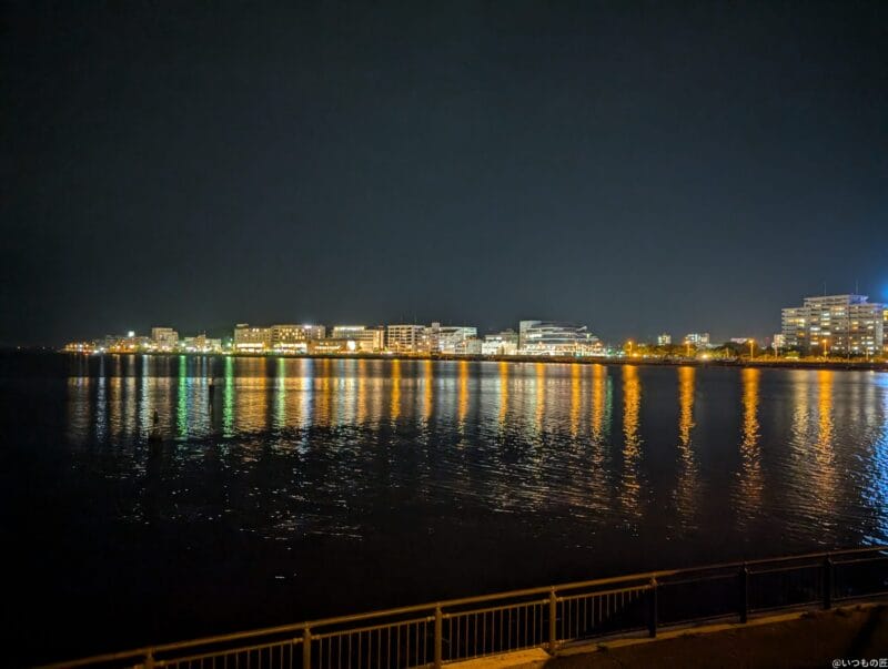 Google Pixel 9 カメラ
Google Pixel 9 でズーム撮影した夜間写真