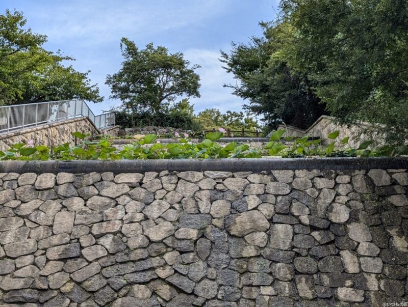 Google Pixel 9 カメラ
Google Pixel 9 でズーム撮影した風景