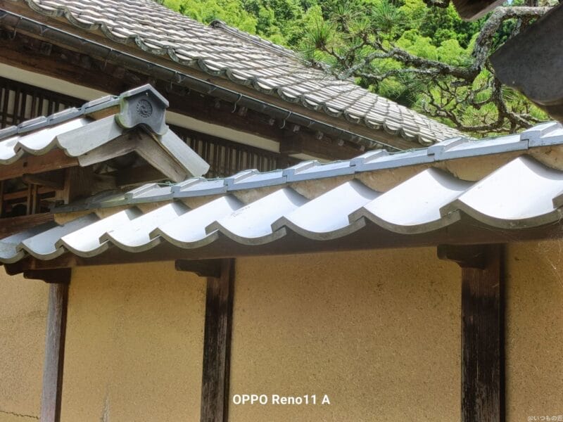 OPPO Reno11 A カメラ
OPPO Reno11 AでHDR撮影した写真