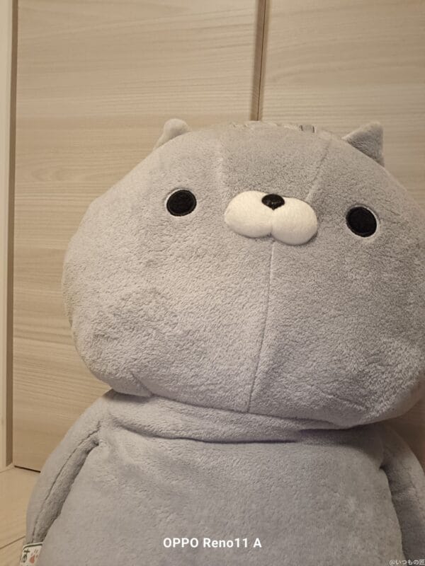 OPPO Reno11 A カメラ
OPPO Reno11 Aのインカメラで撮影したぬいぐるみの写真