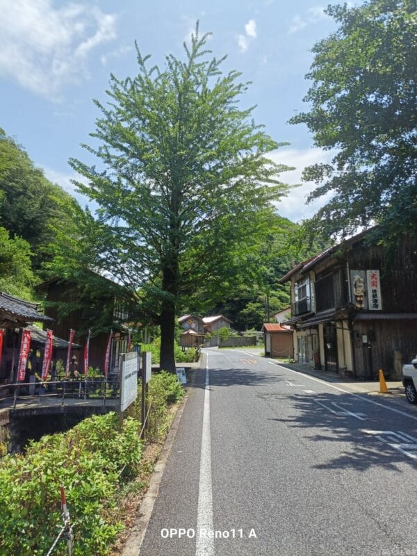 OPPO Reno11 A カメラ 
OPPO Reno11 A カメラの風景写真