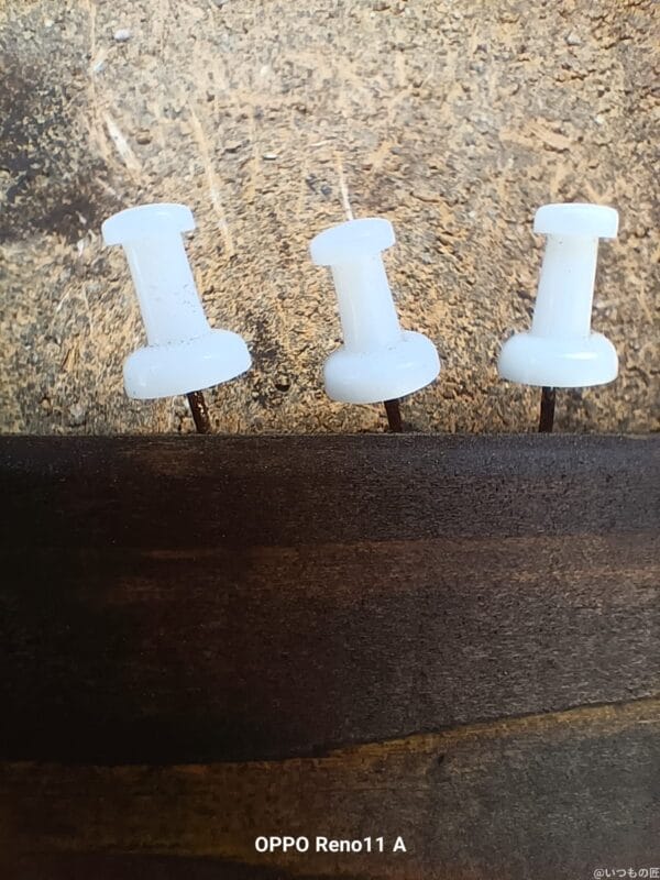 OPPO Reno11 A カメラ
OPPO Reno11 Aでマクロ撮影した写真