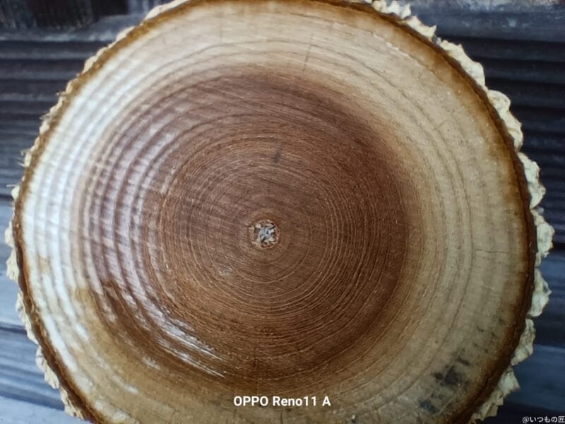 OPPO Reno11 A カメラ
OPPO Reno11 Aでマクロ撮影した写真